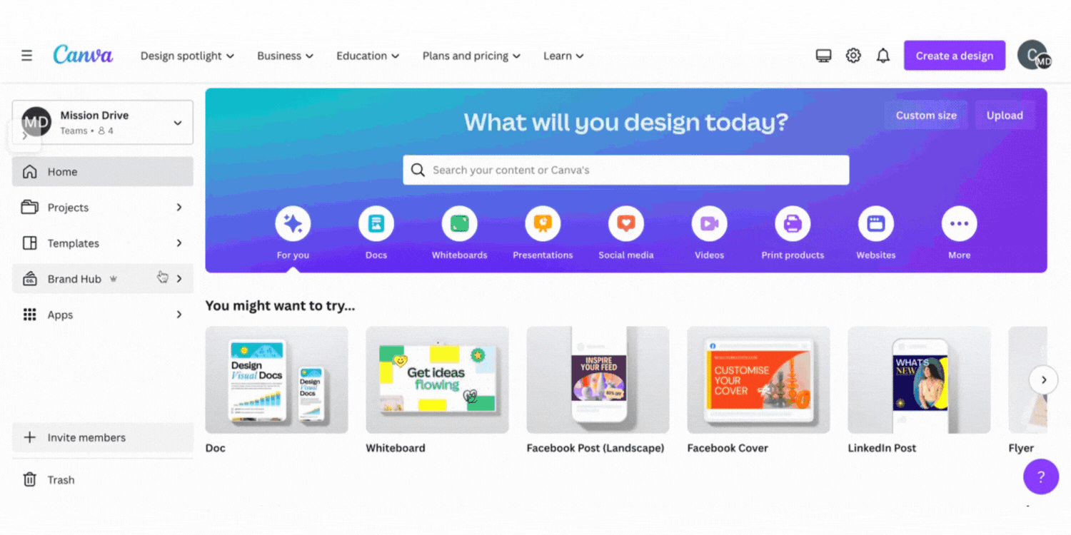 Canva Brand Controls