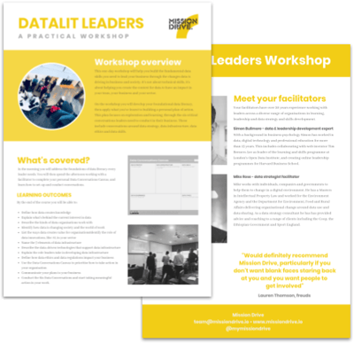 DataLit Leaders Workshop Factsheet