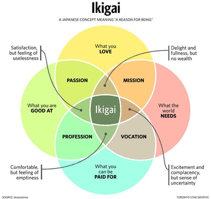 Diagram illustrating the fundamentals of ikigai