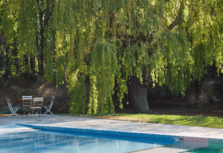 The Lido at the Birch Community