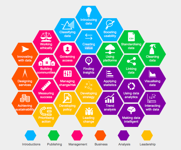 data skills framework